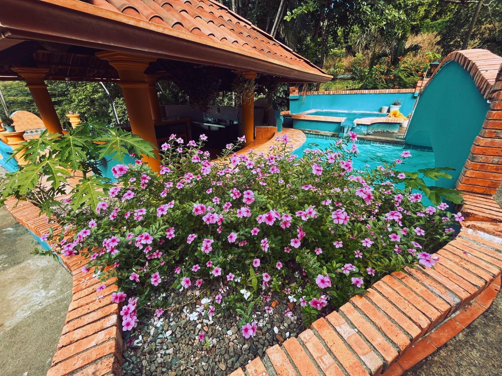 Siwo Art Guesthouse Playa Ocotal Εξωτερικό φωτογραφία